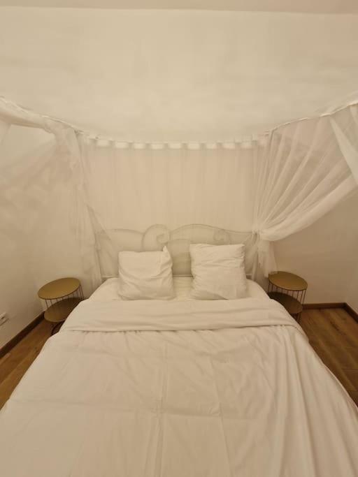 Maison Chic Avec Jacuzzi Nogent Sur Oise Yaospa60 エクステリア 写真